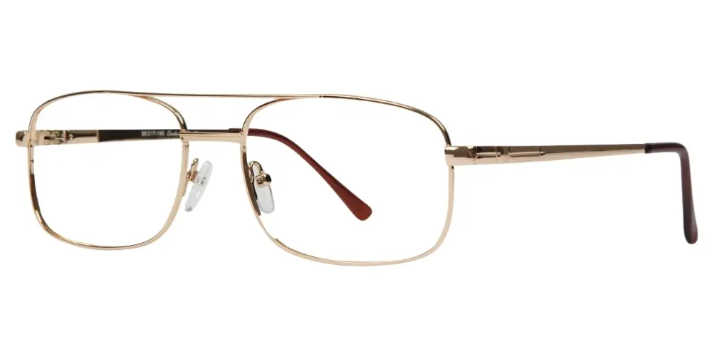 Meridian Eyewear Anzio Stainless Steel - C1 Gold