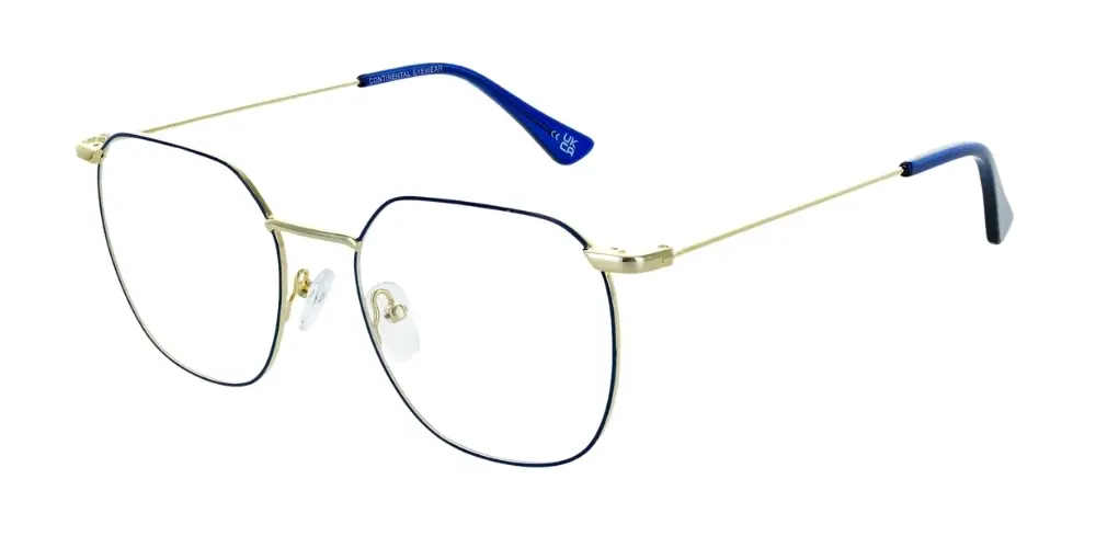 Confident & Sleek Metallic Prescription Glasses