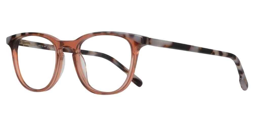 Paul Costelloe 5253 - Image 3