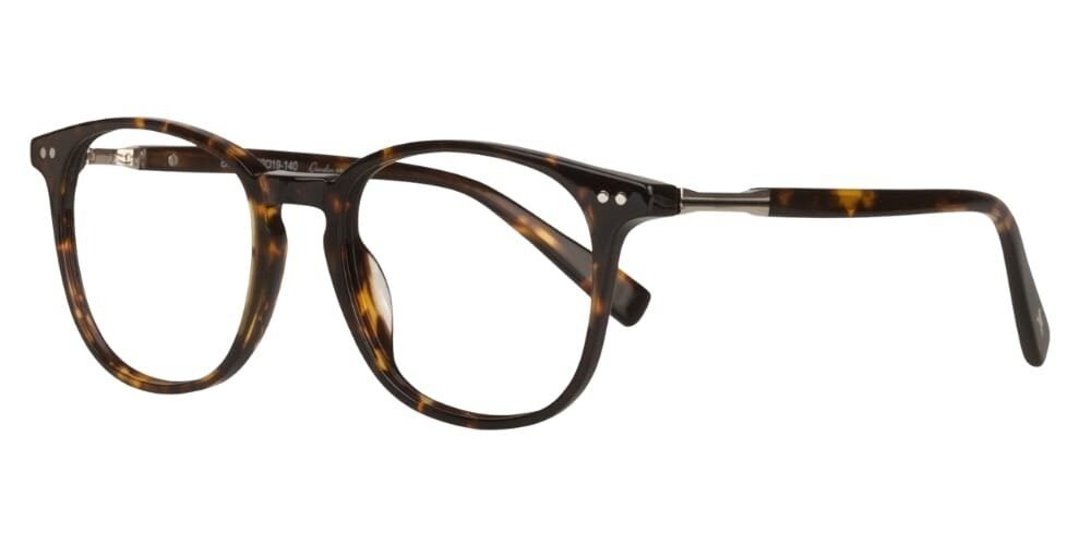 Paul Costelloe 5259 - Image 4