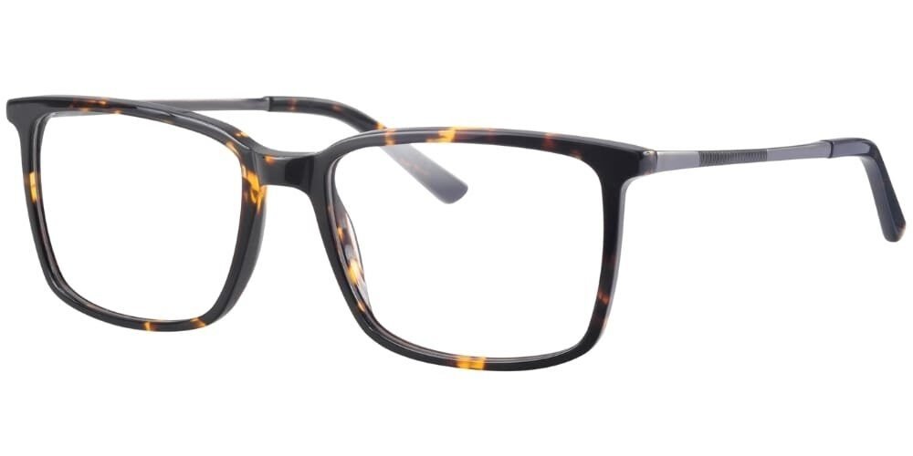 Ferucci Titanium 743