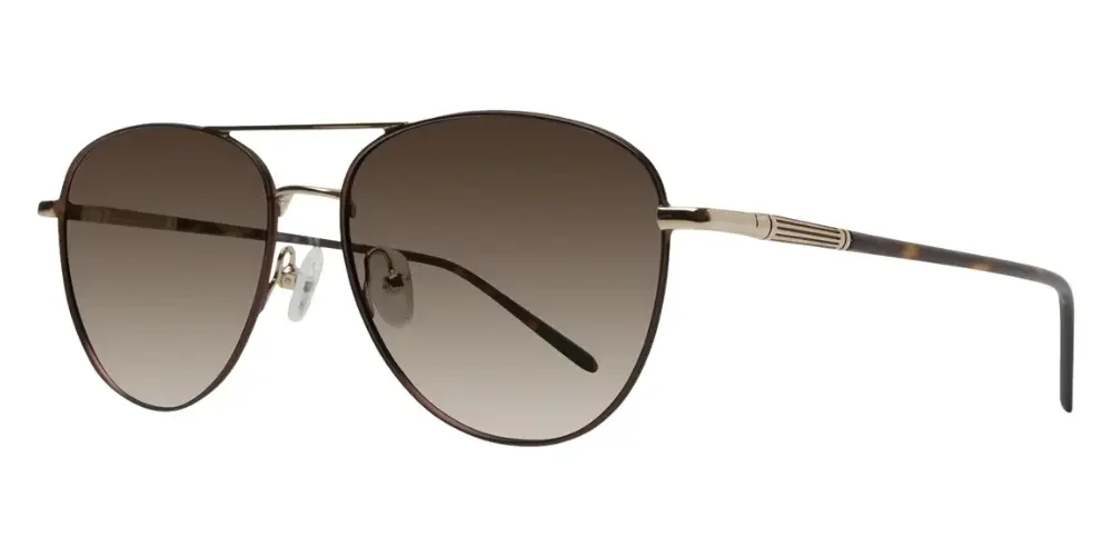 Paul Costelloe Sun 105