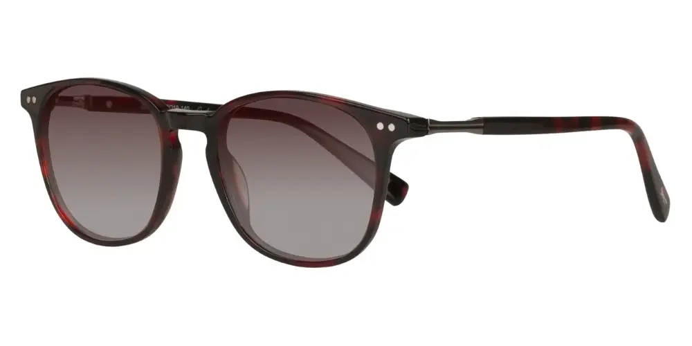 Paul Costelloe Sun 109 - Image 3