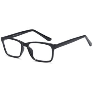 Brooksfield BR259 Optical Glasses