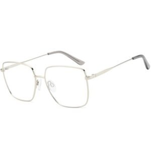 D239 Prescription Glasses - silver