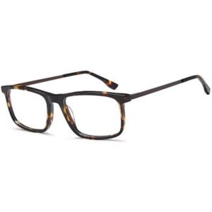 Delancy DEL190 Optical Frames