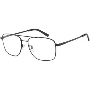 Flexit Optical Glasses